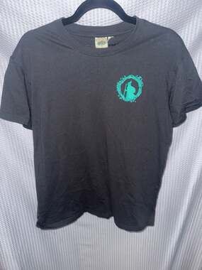 Wicked The Movie Elphaba Cynthia Erivo I Feel Wicked Graphic T-Shirt